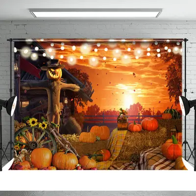 Sunrise With Light Punpkin Scarecrow Halloween Backdrop - Aperturee