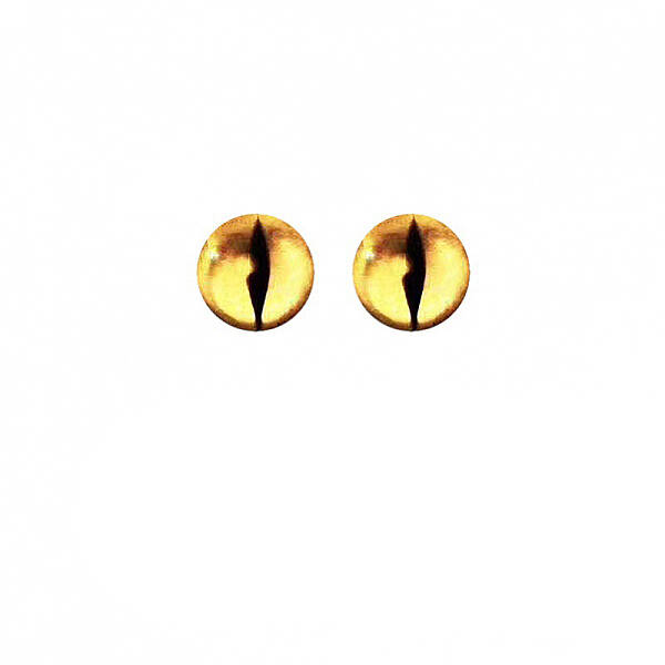 Plastic Dinosaur Safety Craft Eye