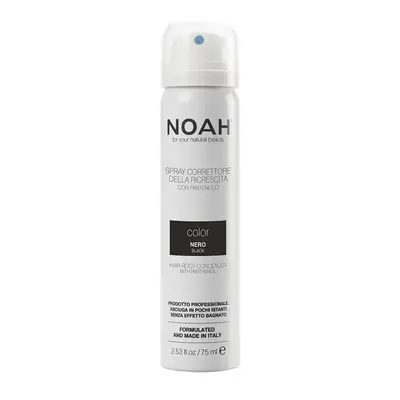 Noah Color Spray Black Corrector 75ml