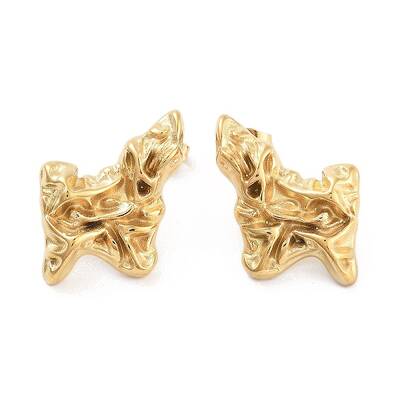 316 Surgical Stainless Steel Stud Earrings for Women