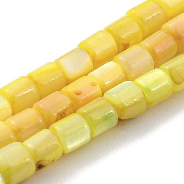 Natural Freshwater Shell Beads Strands