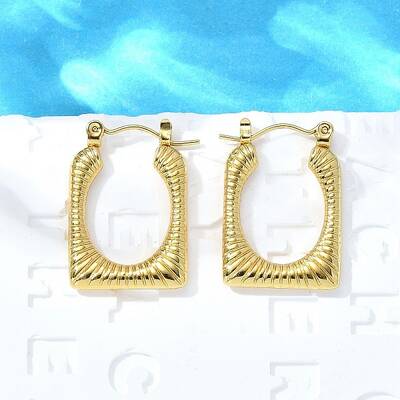 304 Stainless Steel Hoop Earrings for Women
