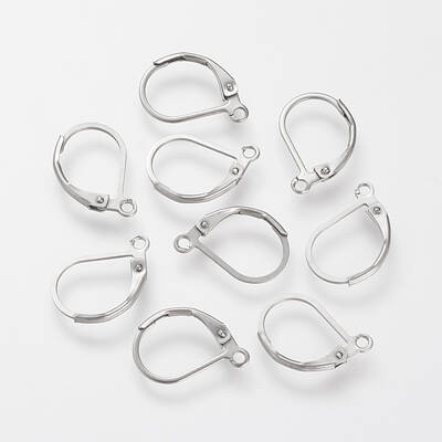 Tarnish Resistant 304 Stainless Steel Leverback Earring Findings