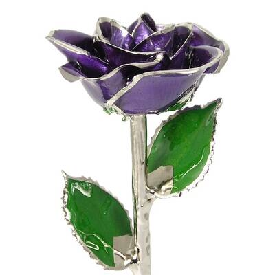 Platinum Trimmed Rose: 11 Purple Rose