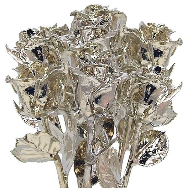 Platinum Dipped Roses: 1 Dozen 11  Rose Bouquet