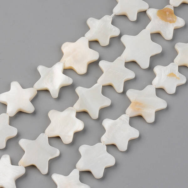 Natural Freshwater Shell Beads Strands