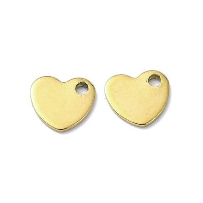 Ion Plating(IP) 201 Stainless Steel Charms