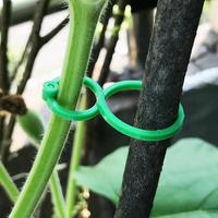 Multifunctional Plant Vine Fixing Clip, 200pcs/set Garden Climbing Plant Stem Support Tool, Garden Tools for Home Garden, Gar...