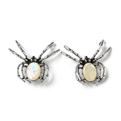 Dual-use Items Alloy Spider Brooch