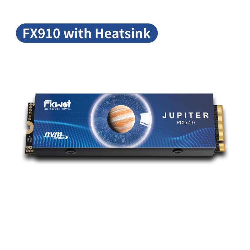 Fikwot FX991(Graphene Heat Dissipation Stickers)/FX910 (with Heatsink) M.2 SSD 1TB 2TB 4TB NVMe SSD M2 2280 PCIe Gen 4x4