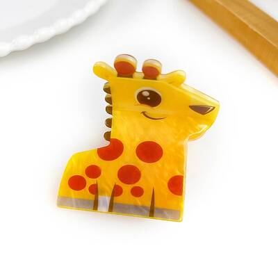Acrylic Claw Hair Clips