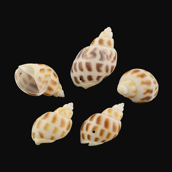 Spiral Shell Pendants