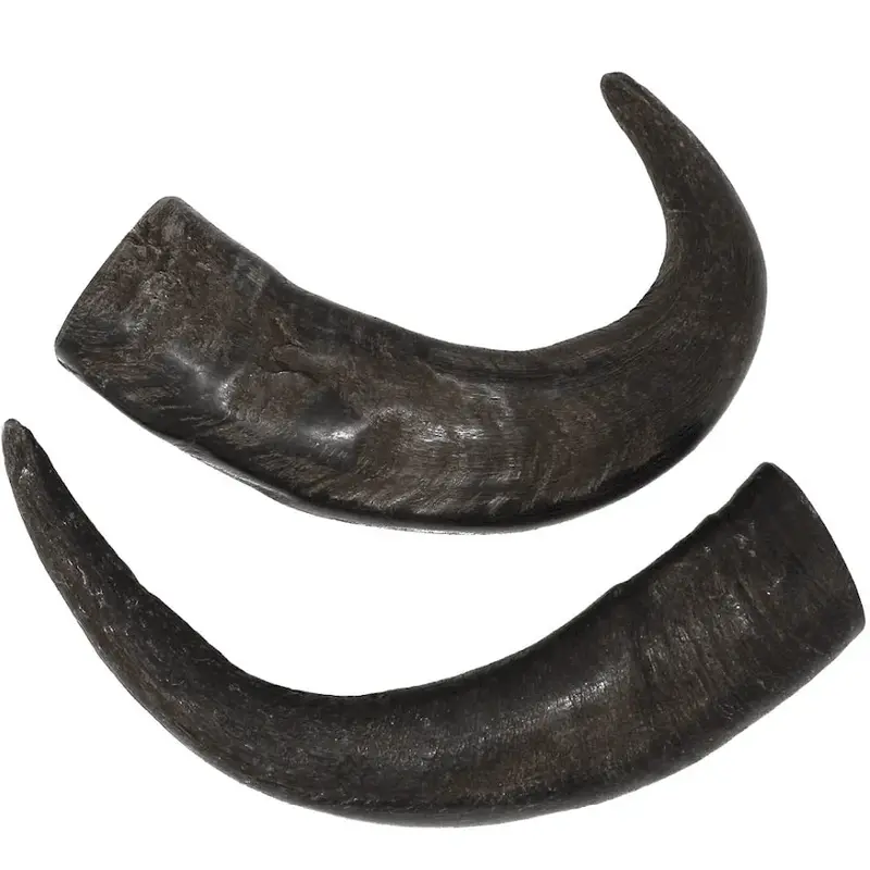 Medium Water Buffalo Dog Chew (25-55 LBS). (1-chew)