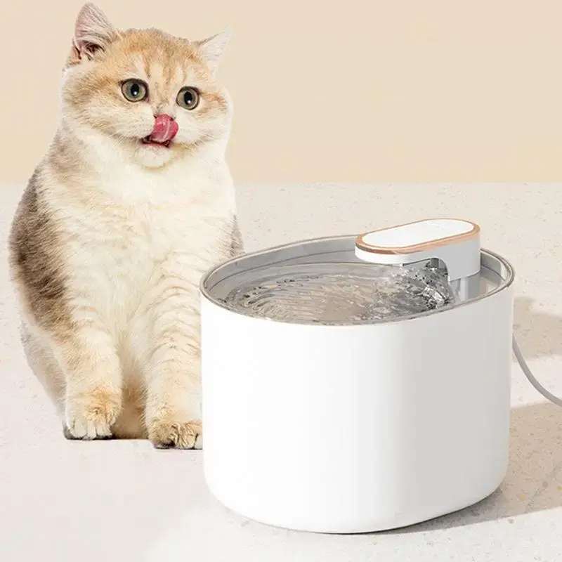 Filterable Pet Smart Water Dispenser For Pets, 3L Large Capacity Automatic Water Bowl With Light, Thirst Quenching For Cats &...