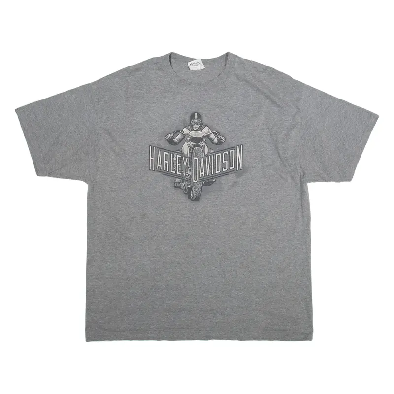 HARLEY DAVIDSON Mens T-Shirt Grey 2XL