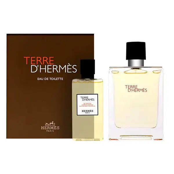 Hermès Terre D'Hermes Eau De Toilette Spray Set 100ml 2 Pieces