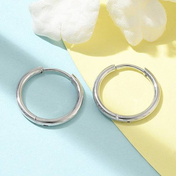 Ion Plating(IP) 304 Stainless Steel Hoop Earrings for Women
