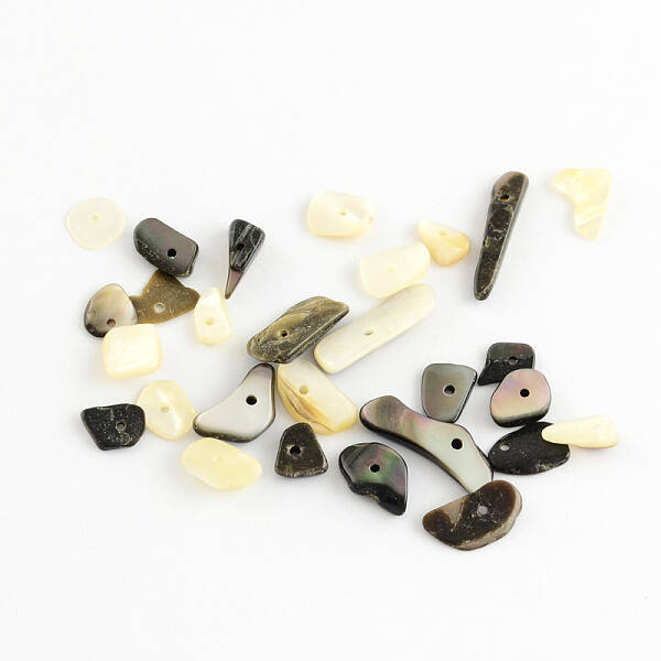 Natural Black Lip Shell Chips Beads