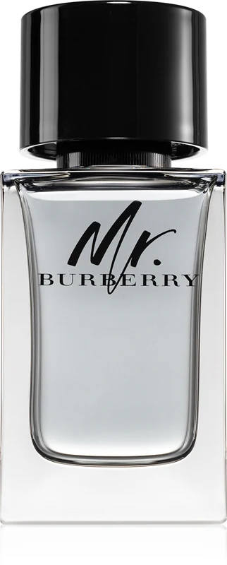 Burberry Mr. Burberry EDT M 100ml