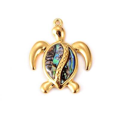 Stainless Steel Paua Shell Pendants