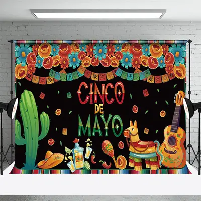 Mexican Cinco De Mayo Fiesta Party Backdrop - Aperturee