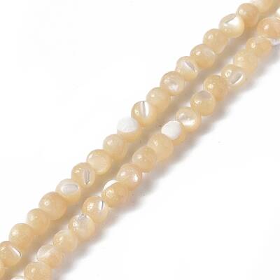 Natural Trochid Shell/Trochus Shell Beads Strands