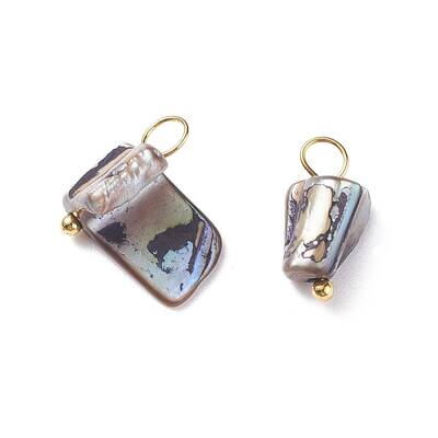 Natural Dyed Shell Charms