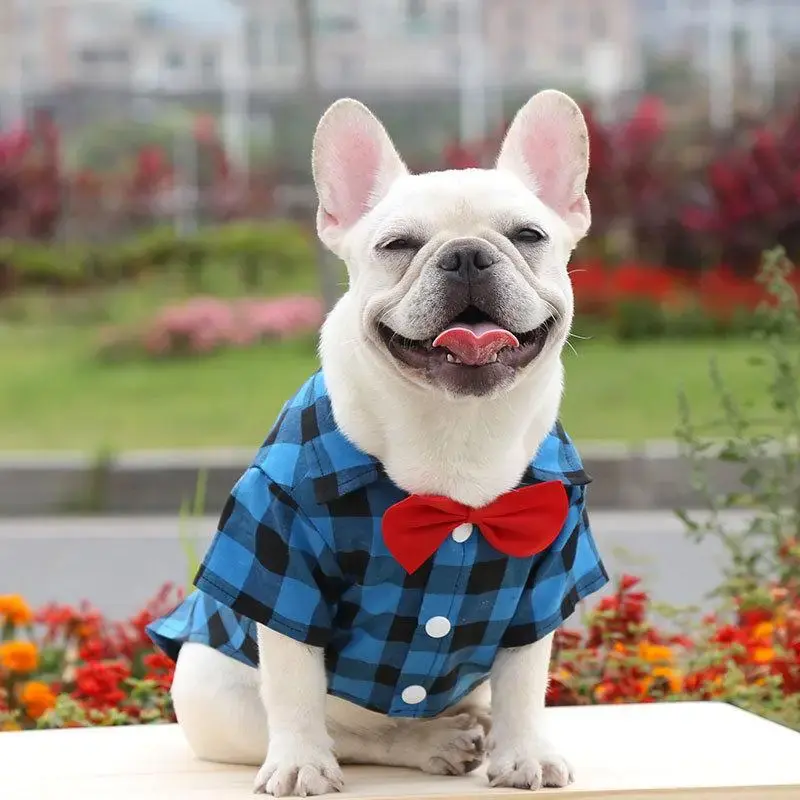 Cute Plaid Pattern Pet Shirt, Bowknot Decor Pet Clothes, Dog Apparel, Pet Accessories