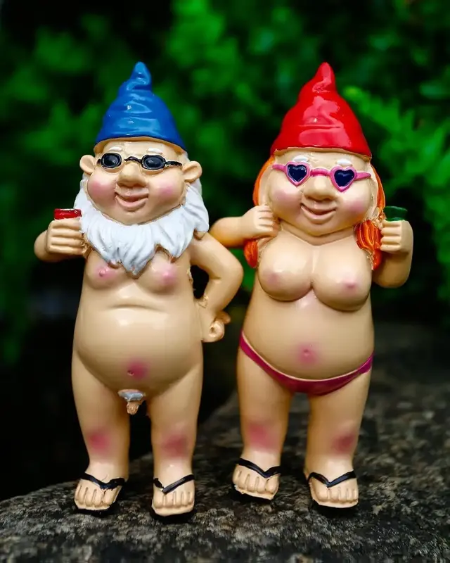 2Pcs Garden Gnomes - Rude and Playful Resin Dwarf Statues for Indoor or Outdoor Lawn Decor, Perfect for Novelty Gifts and Add...