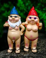 2Pcs Garden Gnomes - Rude and Playful Resin Dwarf Statues for Indoor or Outdoor Lawn Decor, Perfect for Novelty Gifts and Add...