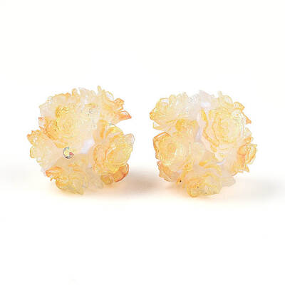 Resin Beads