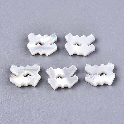 Natural White Shell Beads
