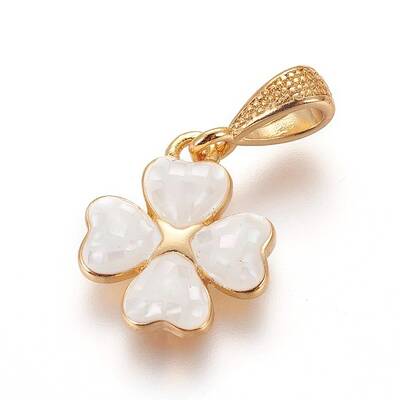 Brass Enamel Charms