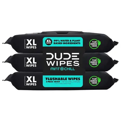DUDE Wipes - Flushable Wipes - 3 Pack, 144 Wipes - Mint Chill Extra-Large Adult Wet Wipes - Vitamin-E, Aloe, Eucalyptus & Tea...