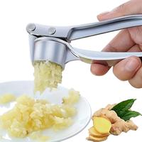 Stainless Steel Garlic Press, 1 Count Manual Garlic Mincer with Handle, Rust Proof Ginger Crusher, Cooking Kitchen Utensils &...