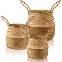 Woven Seagrass Belly Basket - Handcrafted Natural Planter with Handles, Ideal for Indoor Olive Trees, Bird of Paradise, and O...