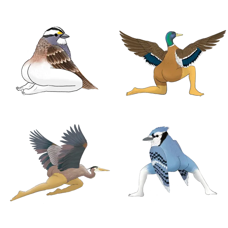 Precise Bird Stickers for Expert Birders (4-Pack) - 2024 First Edition funny sticker office decor
