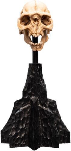 WETA Workshop Polystone - The Lord of the Rings Trilogy - Skull of a Moria Orc Polystone Statue