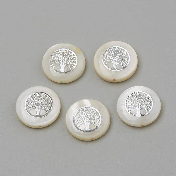 Natural Freshwater Shell Beads