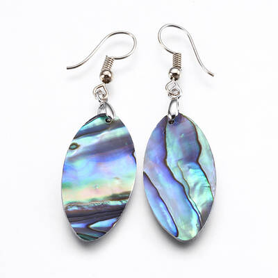 Abalone Shell/Paua Shell Dangle Earrings