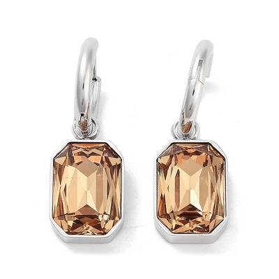 304 Stainless Steel Hoop Earring