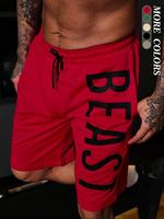 Men's Letter Print Drawstring Pocket Shorts, Regular Fit Casual Streetwear Shorts for Summer, Shorts for Men, Men's Bottoms f...
