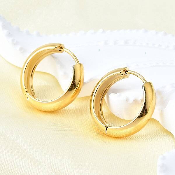 304 Stainless Steel Hoop Earrings