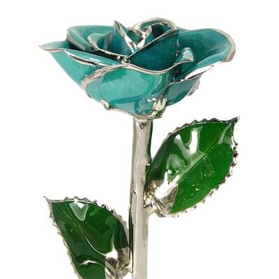Silver Trimmed Rose: 11 Teal Rose