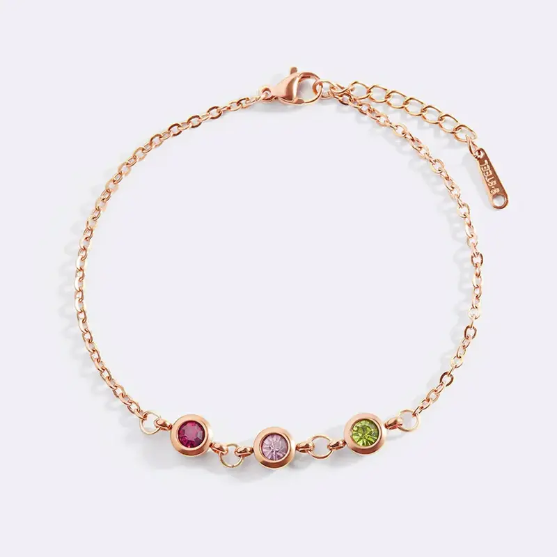 Sterling Silver with Rose Gold Plated Personalized Birthstone & Grandmother & Mother & Sisters Charm Bracelet