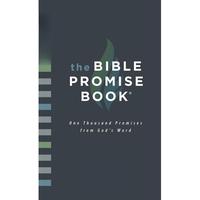 The Bible Promise Book: New Life Version (New Life Bible) Childhood Prayer Journal for Daughters Inspirational 90 Day Devotio...
