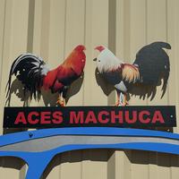 1. Rooster wall decoration 21.5X11.25 ALUMINUM 14 GA