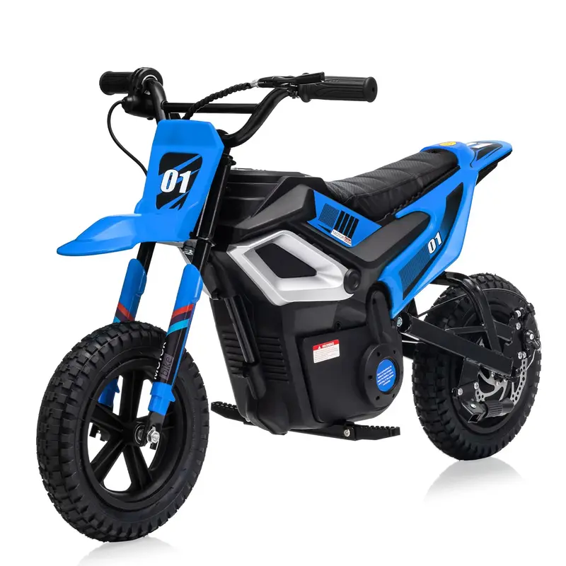 Garvee 24V Electric Dirt Bike for Kids 350W Motor, Rear Suspension, Leather Seat, Bluetooth Music, 12 Tires, Ages 10+, Outd...