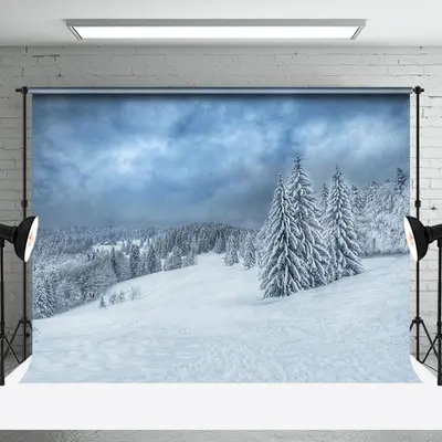 Abstract Sky And Pine Forest Snowy Photo Backdrop - Aperturee