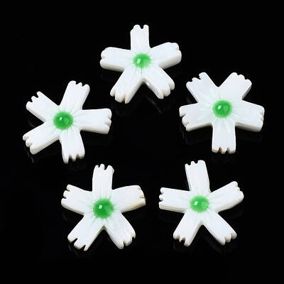 Natural Freshwater Shell Beads